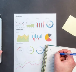 top web development company